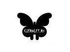 Cifrolet (Цифролёт), Веб-студия